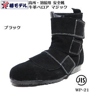 yփfz nڗpSC JIS xA v }WbN WP-21yJIS T8101 SCzubNyv SCz