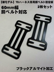 ēׁy^C^ փfzTBn[lXpxgŒ60mmΉ  2ZbgySѕtizylR|Xzz