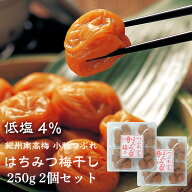 紀州南高梅 梅干し はちみつ梅 250g 2個セット 小粒 訳あり ※一部地域対象外 塩分4％ 減塩 国産 つぶれ …