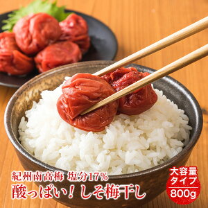 _Y̐ԎhƉŒЂ񂾐̂Ȃ̓cɒЂ^ ~ Y 17% 800g(400g×2) ς ς IB썂~ (AkCEꌧ1,000~)