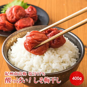 _Y̐ԎhƉŒЂ񂾐̂Ȃ̓cɒЂ^ ~ Y 17% 400g ς ς IB썂~ (AkCEꌧ1,000~)