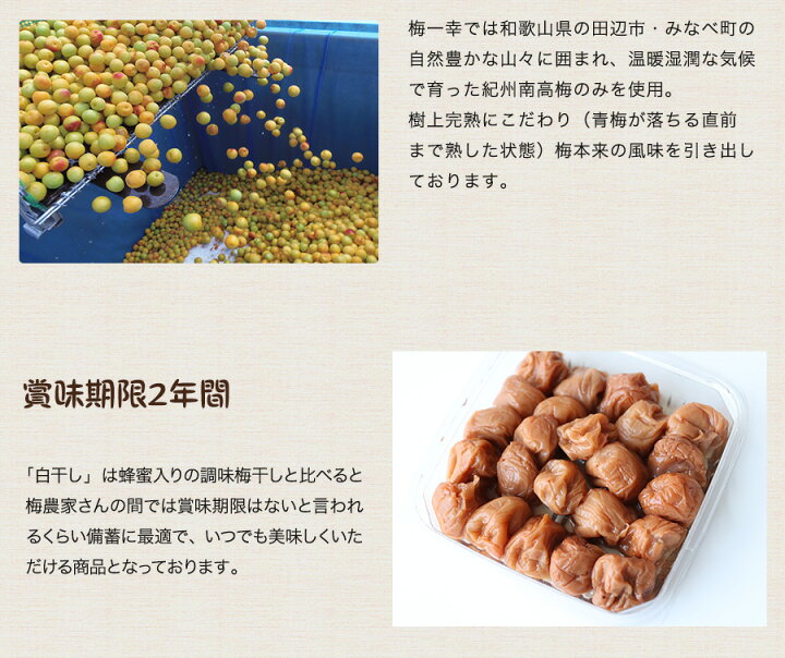 市場 はちみつ漬け 400g 6 2 4kg つぶれ 紀州南高梅 梅干し 8