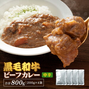 30Iјar[tJ[ h 200g×4܁iv800gjgg Y t[cgp Z ܂₩ J[ 낲  r[t curry J[CX ze J[ јa h