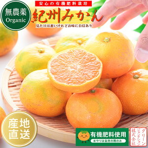 ݂ _ a̎RY i L@ ݂ TCYsIʁj1kg IB݂ L@엿͔| a̎R ~J m[bNX k ʕ t[c Yn Mtg