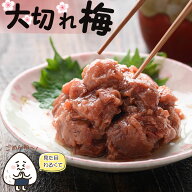 【訳あり】 梅干し 大切れ梅 はちみつ漬け つぶれ梅 800g（ 塩分8% ほんのり甘い はちみつ梅 ）紀州南高…