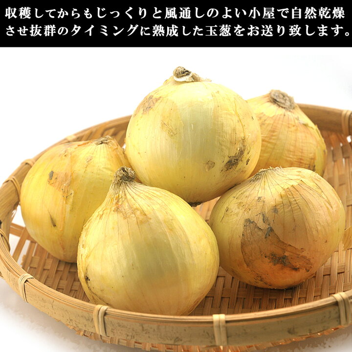 楽天市場 淡路島産 たまねぎ 22年産 新玉ねぎ 10kg 淡路島玉ねぎ サイズおまかせ 減農薬栽培 玉葱 淡路島 玉ねぎ 野菜 タマネギ 玉ネギ たま葱 淡路島の玉ねぎ 送料無料 北海道 沖縄 離島は送料別途1000円 梅干し 海産物 うめ海鮮