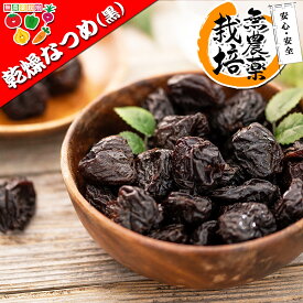 【送料無料】 厳選 無農薬 なつめ 棗 ドライフルーツ ( 大粒 黒いなつめ ）1kg（500g×2個）乾燥なつめ【 無添加 無塩 無着色 砂糖不使用 ノンオイル 無漂白 】中国産 レッドデーツ ナツメ 乾燥ナツメ 乾燥棗 無農薬栽培 ドライなつめ ナツメ 果物 製菓 製菓材料