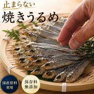 干物 国産 焼きめざし うるめいわし使用 32g×3個 無添加 塩のみ 【焼かずにそのままどうぞ】おつまみ 珍…