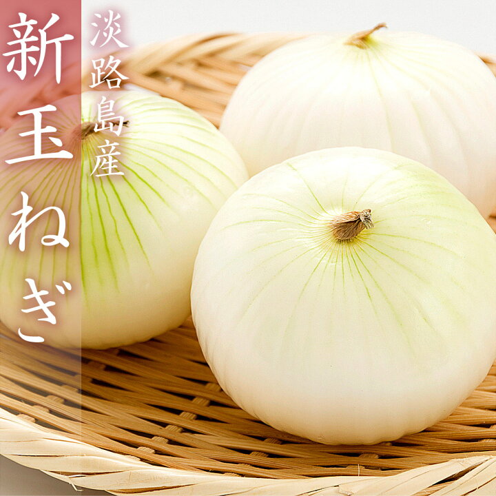 楽天市場 淡路島産 たまねぎ 22年産 新玉ねぎ 10kg 淡路島玉ねぎ サイズおまかせ 減農薬栽培 玉葱 淡路島 玉ねぎ 野菜 タマネギ 玉ネギ たま葱 淡路島の玉ねぎ 送料無料 北海道 沖縄 離島は送料別途1000円 梅干し 海産物 うめ海鮮