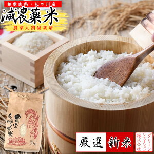 【送料無料】 米 和歌山県産 新米 きぬむすめ 1kg(減農薬 農薬9割減 化学肥料 除草剤不使用)有機肥料使用(令和7年産 白米) お米 こめ コメ 精米 精白米 ギフト