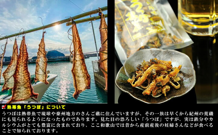 楽天市場 送料無料 国産 海鮮 おつまみ 珍味 うつぼ揚煮 佃煮 45g 3個 無添加 唐揚げ ウツボ うつぼ うつぼ揚げ煮 酒のつまみ 酒の肴 干物 佃煮 おやつ 燻製 ウツボの干物 ウツボの唐揚げ つまみ 高級珍味 お取り寄せグルメ お中元22 御中元 梅干し 海産物
