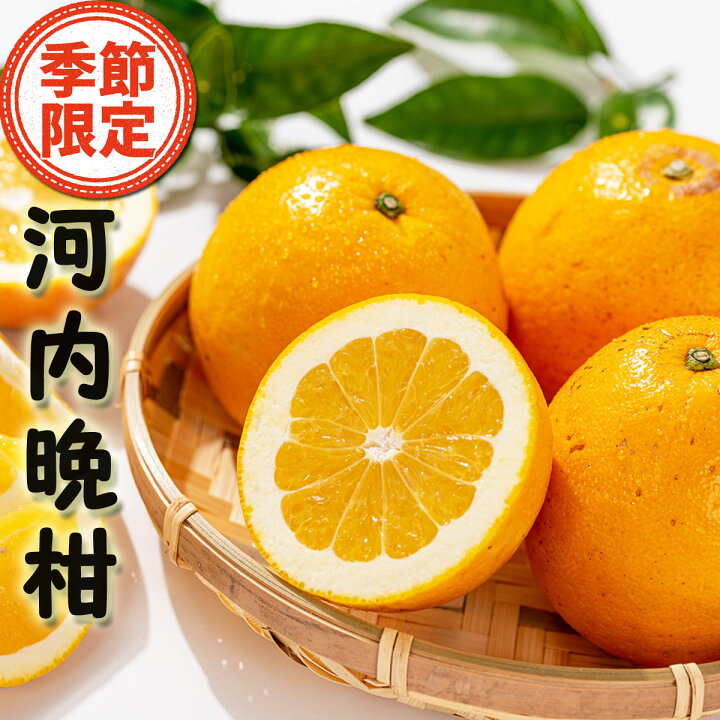 楽天市場 送料無料 国産 訳あり みかん 河内晩柑 夏文旦 ジューシーフルーツ 10kg M 2lサイズ 初夏から夏の貴重なみかん ミカン 甘い フルーツ 果物 美生柑 愛南ゴールド 宇和ゴールド ハーブ柑 天草晩柑 ジューシーオレンジ 灘オレンジ 文旦 梅干し 楽天市場 送料無料 国産 訳あり みかん 河内晩柑 夏文旦 ジューシーフルーツ 10kg M 2lサイズ 初夏から夏の貴重なみかん ミカン 甘い フルーツ 果物 美生柑 愛南ゴールド 宇和ゴールド ハーブ柑 天草晩柑 ジューシーオレンジ 灘オレンジ 文旦 梅干し