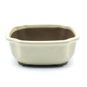 盆栽鉢 陶器 4.5〜5.5号 木瓜鉢 モッコ鉢 おしゃれ 専門店 緑 白 青 三色 四日市萬古焼 深め 小品 小さい 雑木 松柏 植木鉢