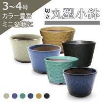 楽天市場】植木鉢 水色の通販