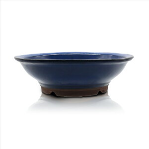 ~͔  4`8 ېw}  X  F   lF ls݌Ï ^ G i  ^ Aؔ 5 6