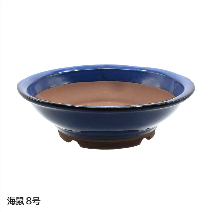 楽天市場】盆栽鉢 陶器 4〜8号 丸陣笠鉢 おしゃれ 専門店 白 水色 青 