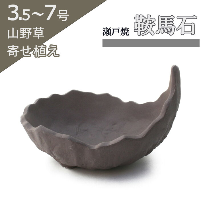 楽天市場】盆栽鉢 陶器 3.5〜7号 山野草鉢 鞍馬石 おしゃれ 専門店 
