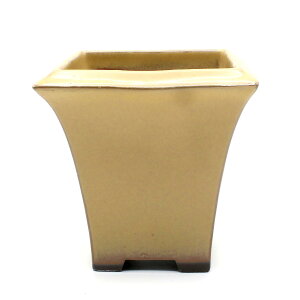 ~͔  4 p  X R     F AC{[  F ˏ [^ c lp G  i  12Z` Aؔ