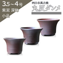 楽天市場】鉢 萬古焼の通販