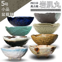 楽天市場】岩 鉢の通販
