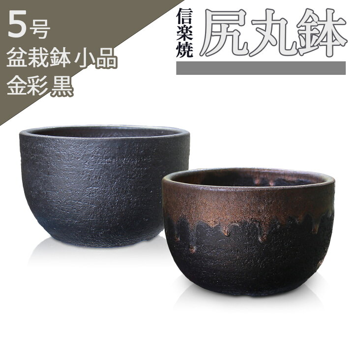 楽天市場】盆栽鉢 陶器 5号 尻丸鉢 おしゃれ 専門店 金彩 黒 二色 