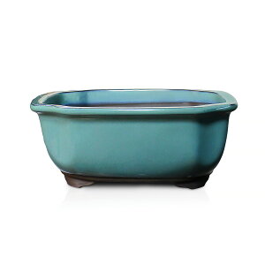 ~͔  4.5`5.5 ؉Z bR  X    OF ls݌Ï [ i  G  Aؔ