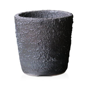 ~͔  4 ؗ CuV   q My OFWJ O[  R쑐 ϗtA AKx  R[fbNX T{e i  [ 12.5Z`