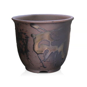 ~͔  3 Grl  X ~j  ls݌Ï   Ԑ   5F  ~` i [ AKx   T{e G  ϗtA 9Z` Aؔ 