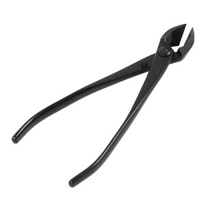 i ~̓nT~ }  170mm No.1A   KANESHIN BONSAI