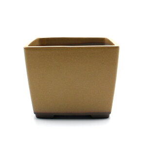 ~͔  3`4 p  X ~j       ED ˏ lp R쑐 AKx  A T{e i Aؔ 