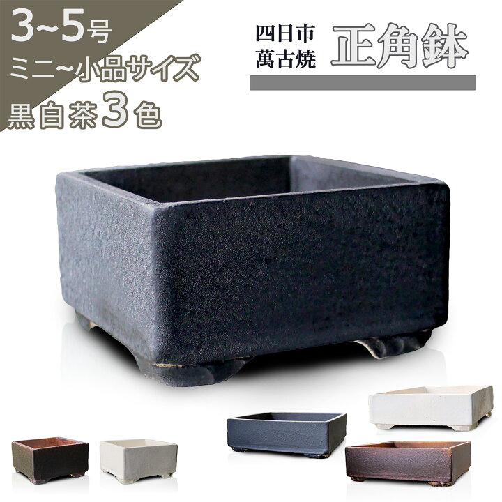 楽天市場】【盆栽鉢】 3〜5号 正角鉢 陶器 おしゃれ 専門店 ミニ 