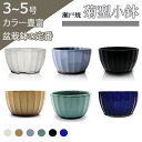 盆栽鉢 陶器 3〜5号 菊型小鉢 ミニ 小さい おしゃれ 専門店 緑 白 青 水色 黄 黒マット 六色 瀬戸焼 丸 円 山野草 観葉植物 アガベ 塊根 サボテン 小品 植木鉢 4