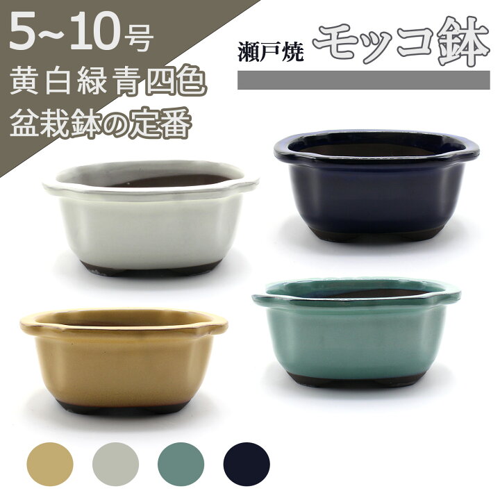 楽天市場】盆栽鉢 陶器 5〜10号 木瓜鉢 モッコ鉢 おしゃれ 専門店 瀬戸 