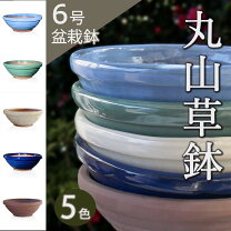 楽天市場】ブルー 青（種類（植木鉢）盆栽鉢）（花・ガーデン・DIY）の通販