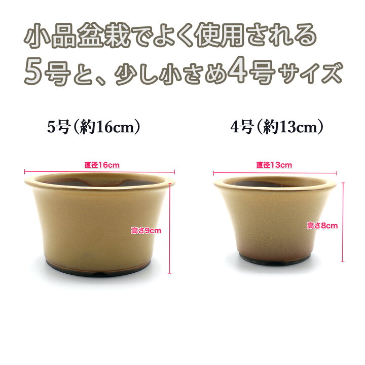 楽天市場】盆栽鉢 陶器 4〜5号 丸反型鉢 おしゃれ 専門店 白 緑 青 黒 