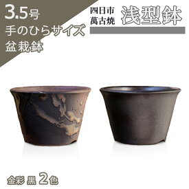 【盆栽鉢】浅型 3.5号 四日市萬古焼 金彩 黒 2色 丸 円形 陶器 小品 小さい ミニ アガベ 塊根 多肉 サボテン 雑木 松柏 観葉植物 約10.5センチ 植木鉢 苔 おしゃれ