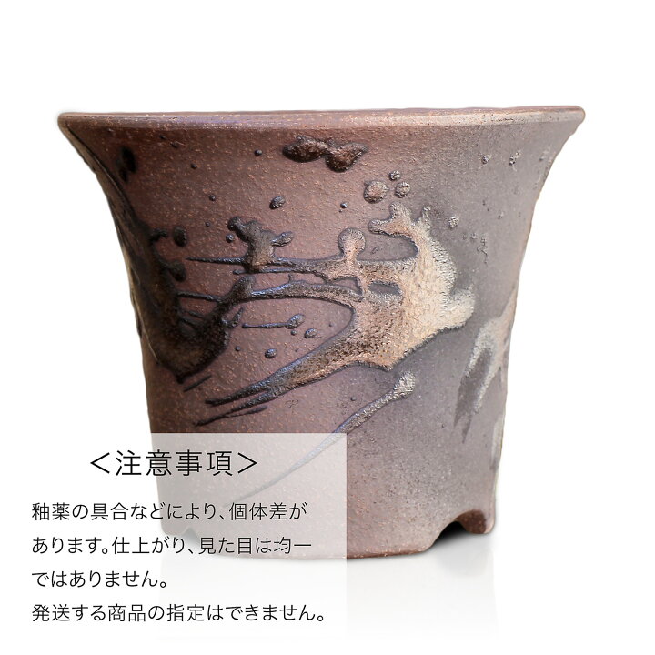 楽天市場】盆栽鉢 陶器 3.5号 ラッパ型 おしゃれ 専門店 ミニ 小さい 