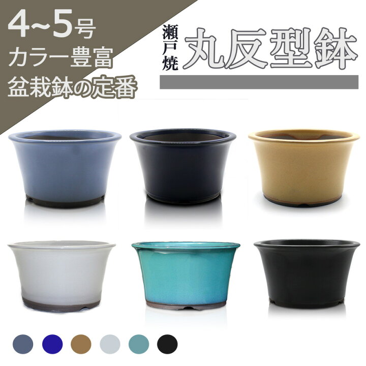 楽天市場】盆栽鉢 陶器 4〜5号 丸反型鉢 おしゃれ 専門店 白 緑 青 黒 