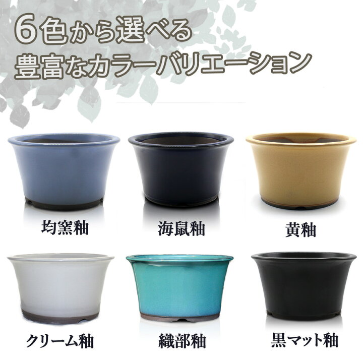 楽天市場】盆栽鉢 陶器 4〜5号 丸反型鉢 おしゃれ 専門店 白 緑 青 黒 