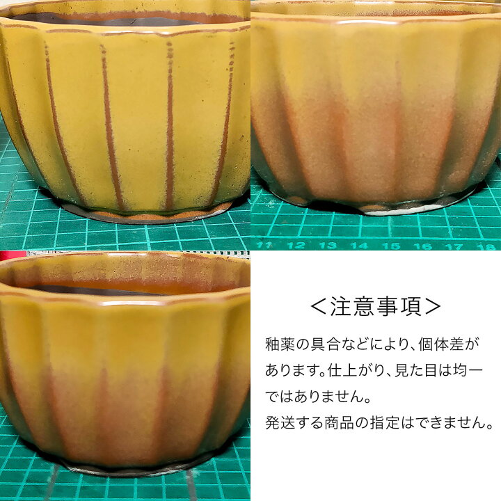 楽天市場】盆栽鉢 陶器 3〜5号 菊型小鉢 ミニ 小さい おしゃれ 専門店 