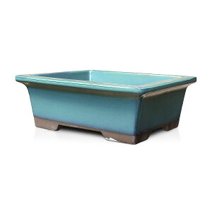 ~͔  4`5 p  X      ED ZFWJ ls݌Ï lp ^ i  G  Aؔ