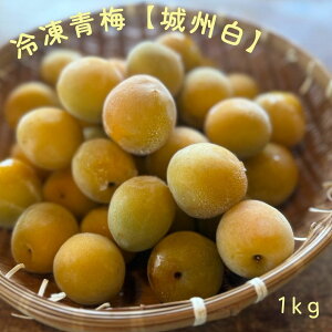 y2025NnzsJY Ⓚ~ 1kg ~ Yn  Vbv ~p@X_AkCʓryAzsz
