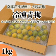 【2026年収穫分】京都青谷産 冷凍青梅 大粒 約1kg 青梅 産地直送 取り寄せ シロップ 梅酒専用　少々斑点…