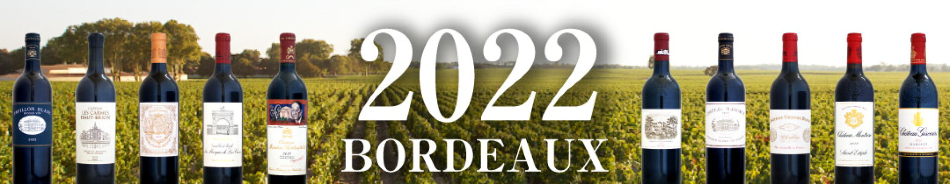 2021ボルドーワイン