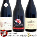 【クール配送】【特別価格】トップ生産者 オート・コート・ド・ニュイ 赤ワイン [2022]750ml 飲み比べ 3本セット