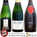 【クール配送】【特別価格】ウメムラお気に入りのシャンパーニュ 3本セット (ゴッセ&ペテルス&エルネ)