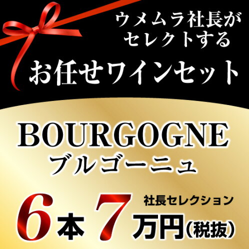 社長セレクションブルゴーニュワイン6本セット(7万円)