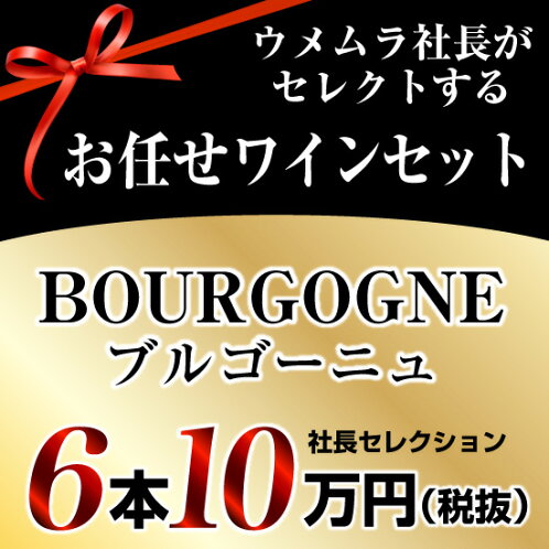 社長セレクションブルゴーニュワイン6本セット(10万円)