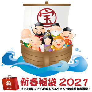 2021年 新春 ワイン福袋(う) 6本