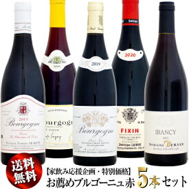 【家飲み応援・特別価格】クール送料無料 お薦めブルゴーニュ 赤ワイン 5本セット
